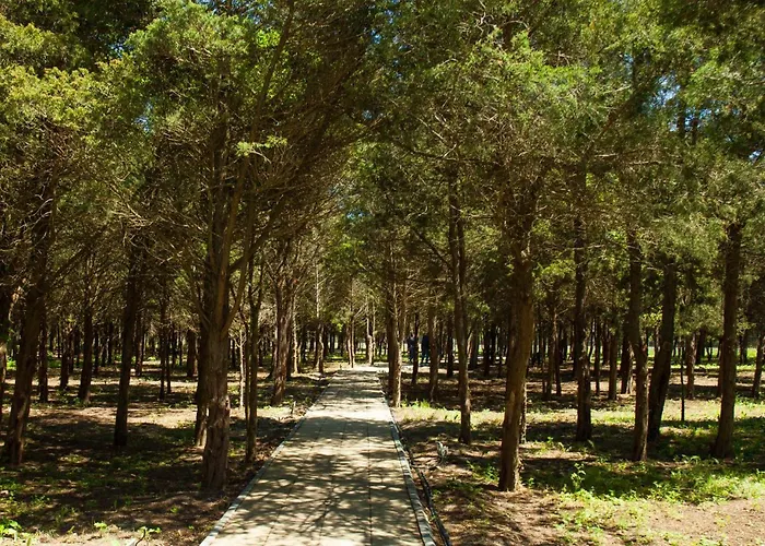 公寓 Waves & Whispers - Acces Gratuit Piscina 奥林普