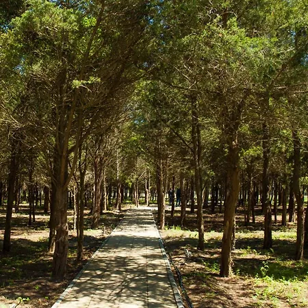 Appartamento Waves & Whispers - Acces Gratuit Piscina Olimp